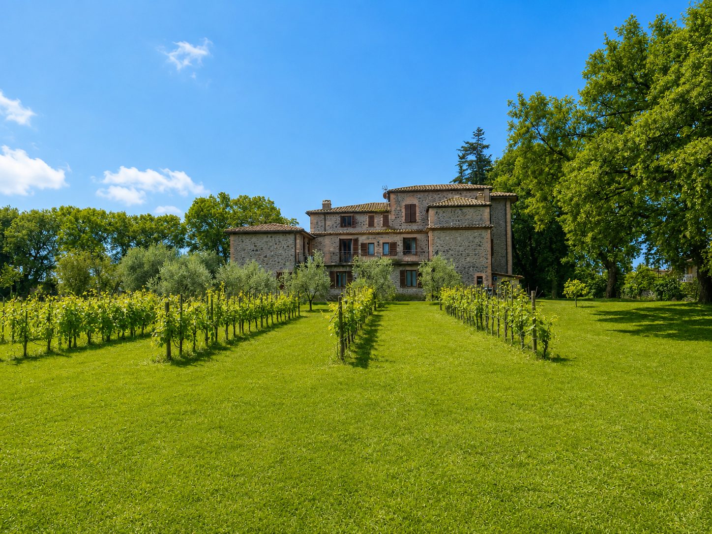 Le colline verdi dell'Umbria attorno a Orto della Longevità