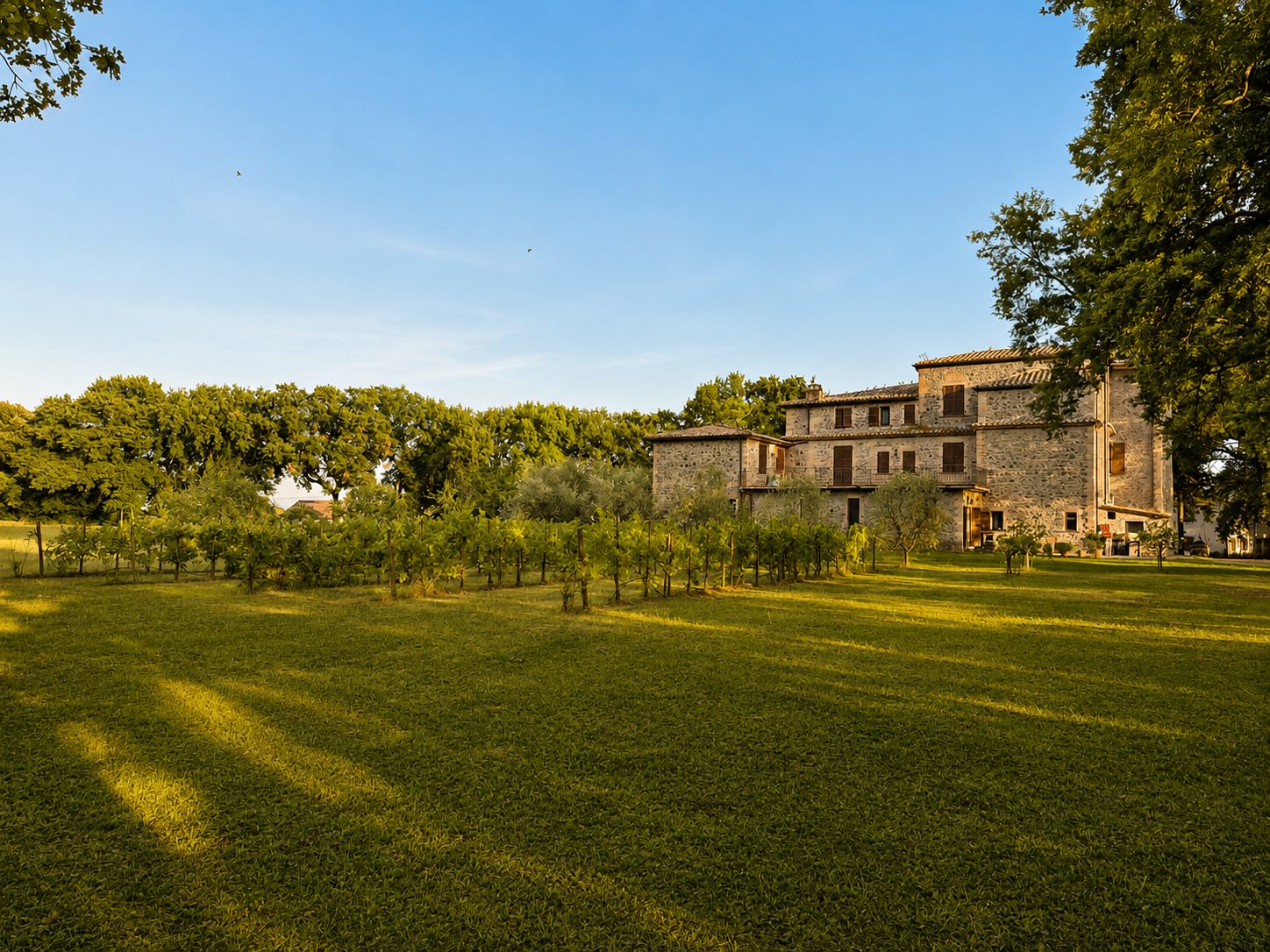 Il viale e il vigneto al tramonto