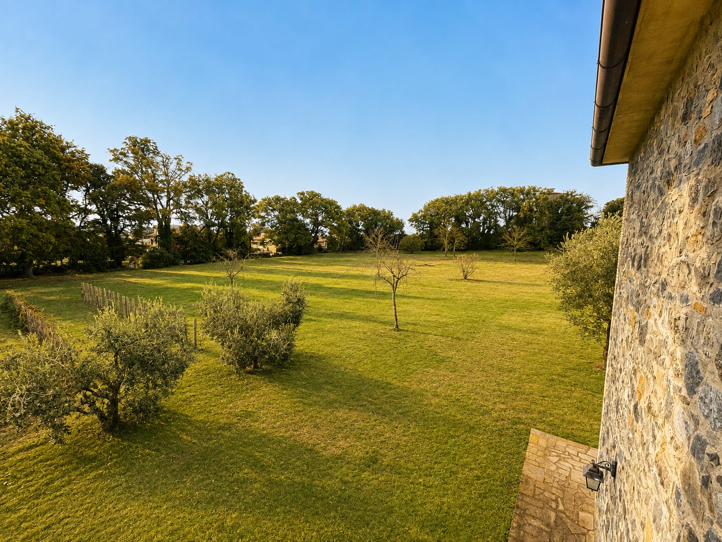 Il giardino con gli ulivi